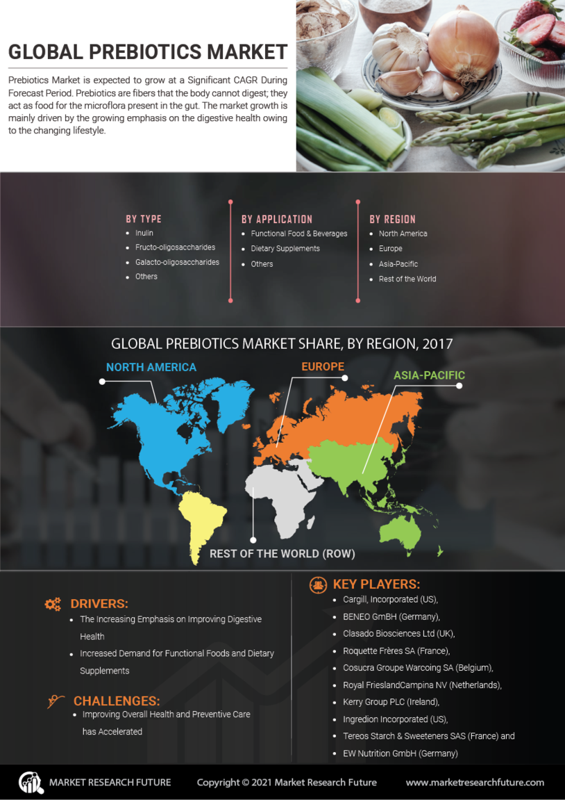 Prebiotics Market Research Report - Global Forecast till 2027